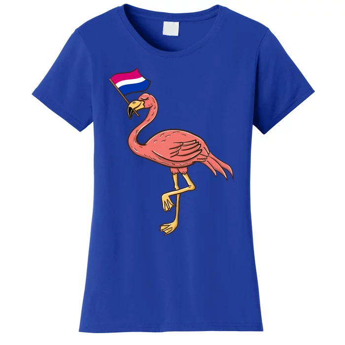 Flamingo With Bisexual Pride Flag Funny Gift Women's T-Shirt