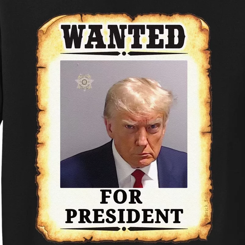 Funny Wanted Donald Trump For President 2024 Tall Sweatshirt