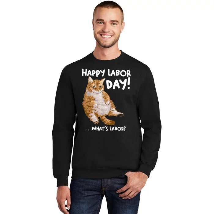 Funny Working Day Cat For Men And Women Tall Sweatshirt