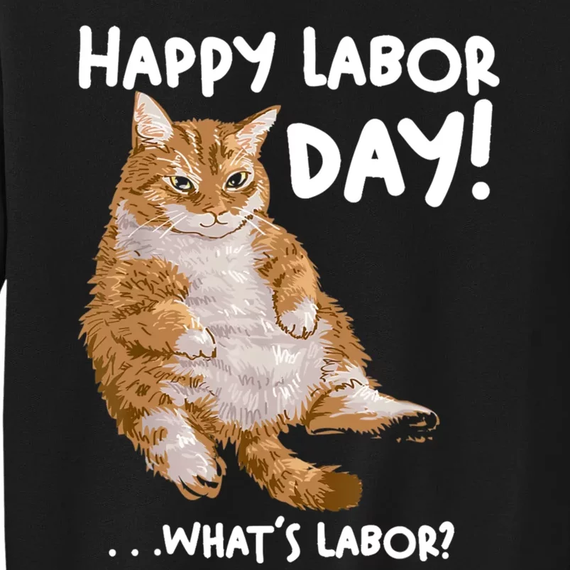 Funny Working Day Cat For Men And Women Tall Sweatshirt