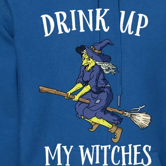 Funny Witch Halloween Design Up My Witches Ing Gift Premium Hoodie