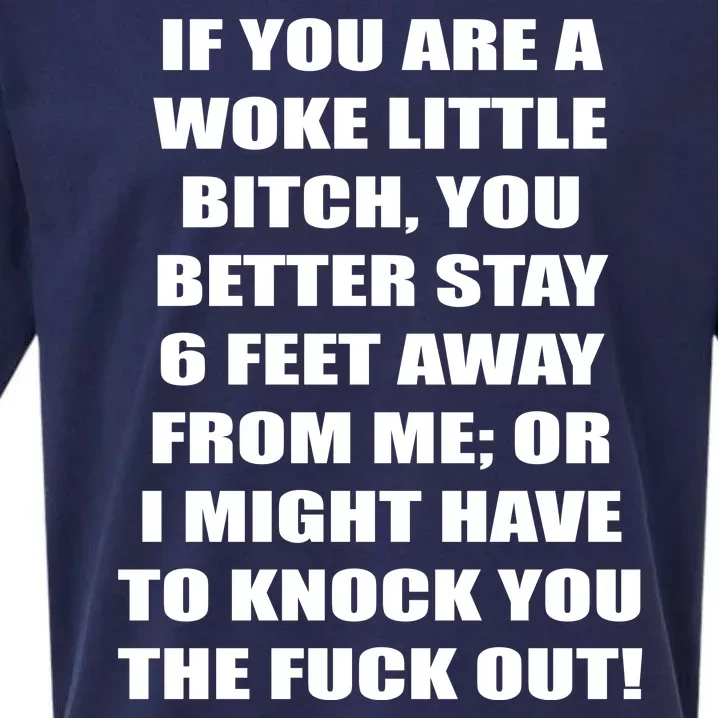 Funny Woke Little Bitch Sueded Cloud Jersey T-Shirt