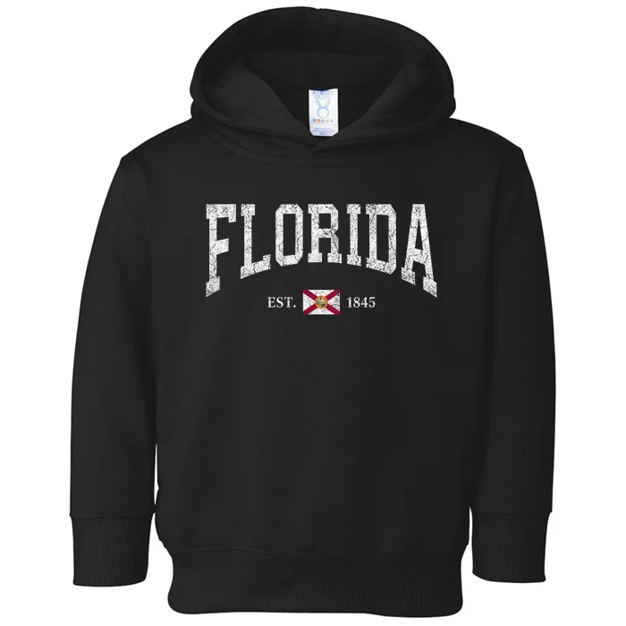 Florida Women Men Kids Florida State Flag Distressed Toddler Hoodie