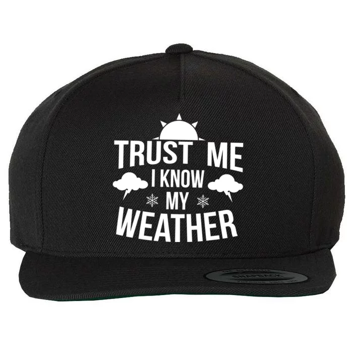 Funny Weather Meteorologist Gift Forecaster Weatherman Climate Fun Gift Wool Snapback Cap