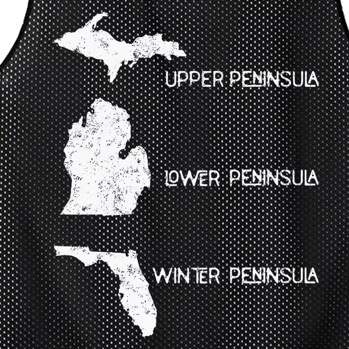 Funny Winter Peninsula Florida Vacation Michigan Michiganian Mesh Reversible Basketball Jersey Tank