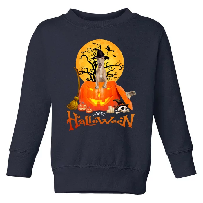 Funny Whippet Spooky Halloween Toddler Sweatshirt