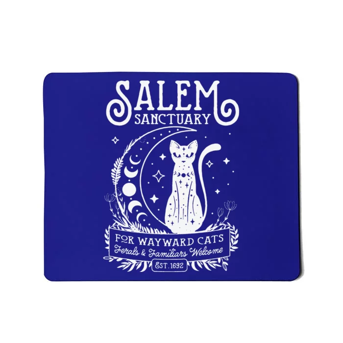 Funny Witch Salem Home For Wayward Black Cats 1692 Halloween Mousepad