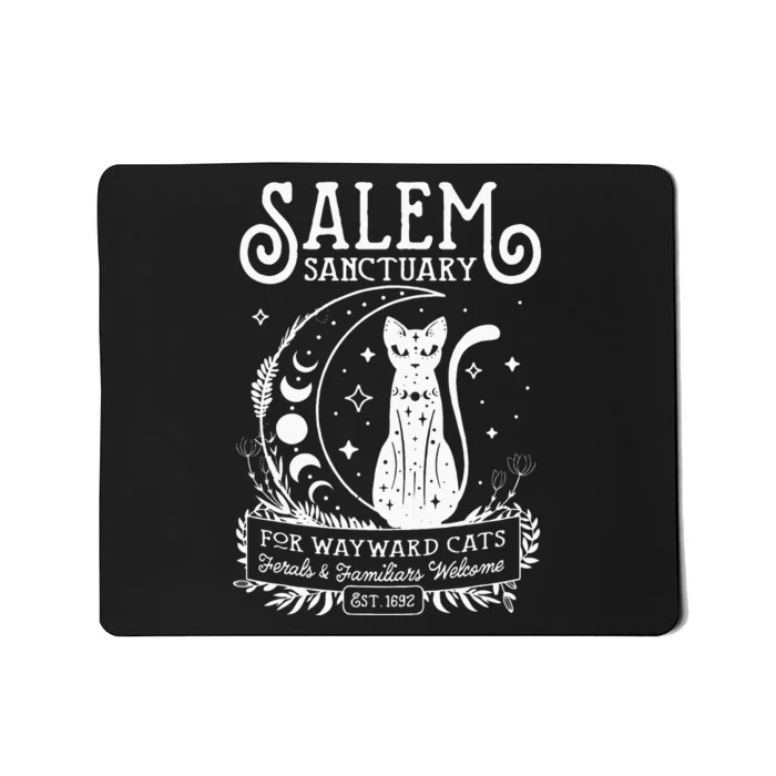 Funny Witch Salem Home For Wayward Black Cats 1692 Halloween Mousepad