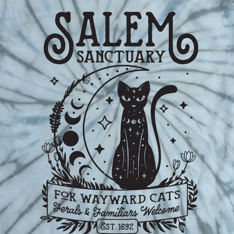 Funny Witch Salem Home For Wayward Black Cats 1692 Halloween Tie-Dye T-Shirt