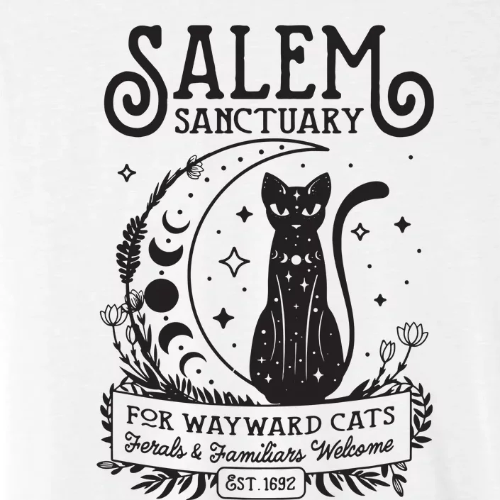 Funny Witch Salem Home For Wayward Black Cats 1692 Halloween ChromaSoft Performance T-Shirt