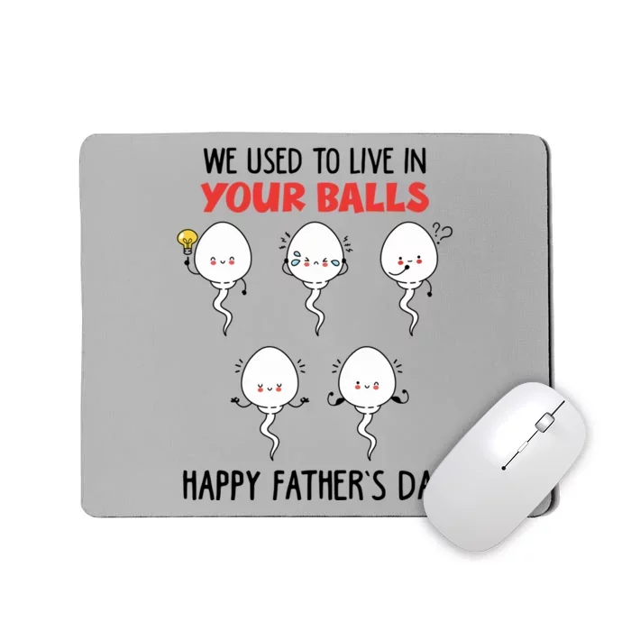 Funny We Used To Live In Your Balls Fathers Day Sperm Daddy Cute Gift Mousepad