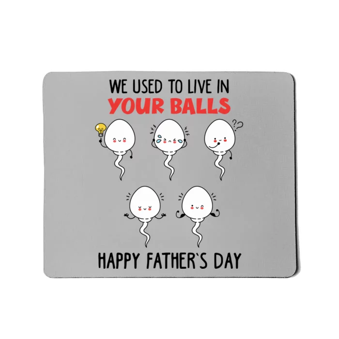 Funny We Used To Live In Your Balls Fathers Day Sperm Daddy Cute Gift Mousepad