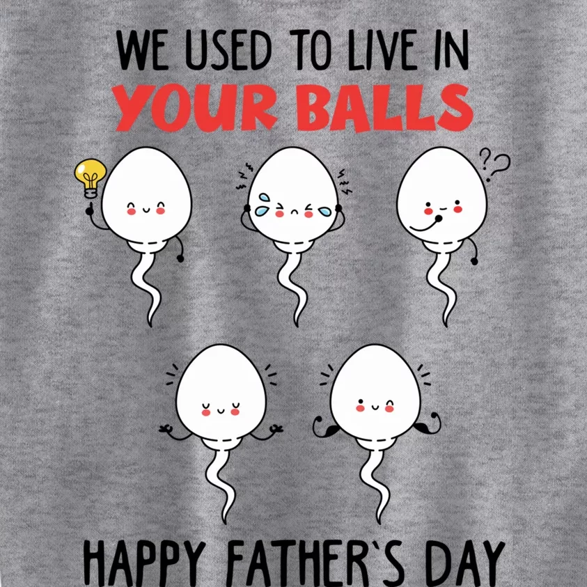 Funny We Used To Live In Your Balls Fathers Day Sperm Daddy Cute Gift Kids Sweatshirt