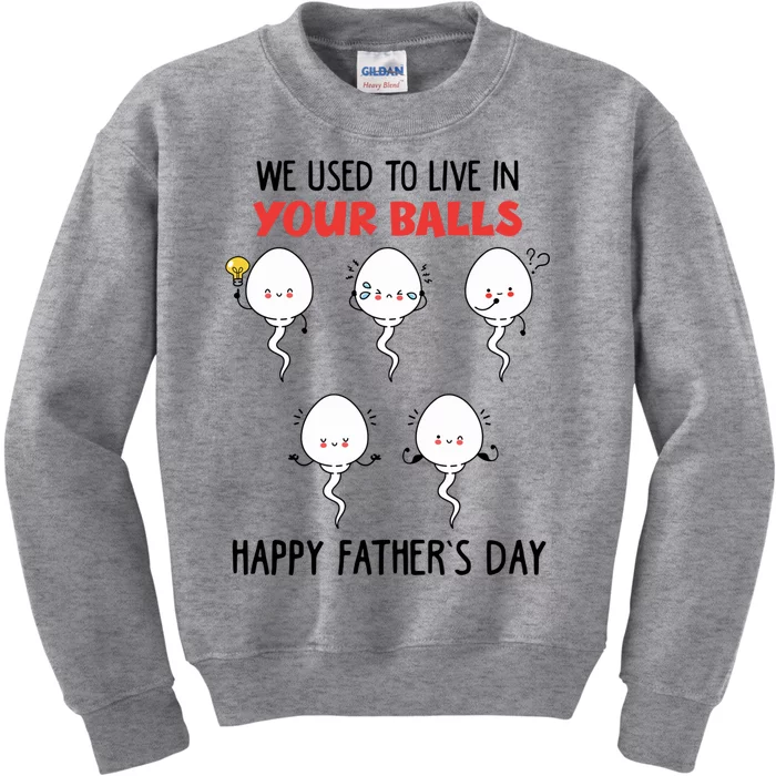 Funny We Used To Live In Your Balls Fathers Day Sperm Daddy Cute Gift Kids Sweatshirt