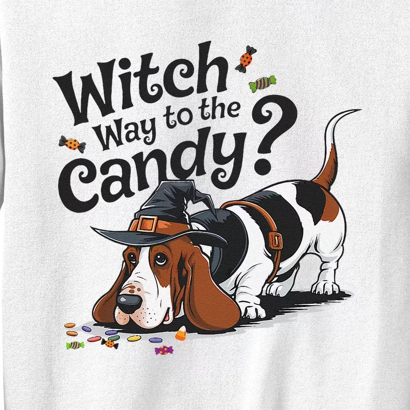 Funny Witch Way To The Candy Funny Halloween Dogs Lover Sweatshirt