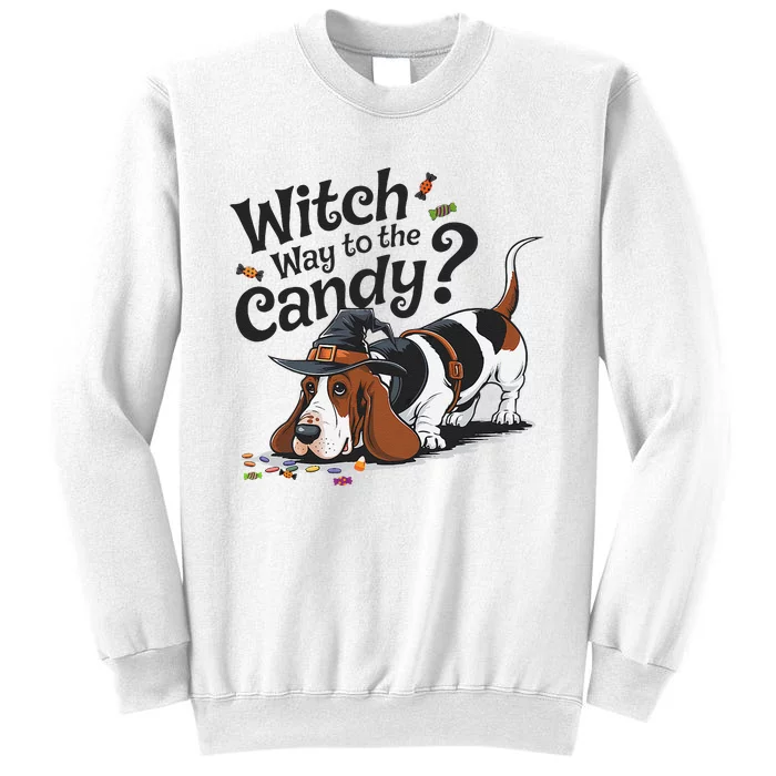 Funny Witch Way To The Candy Funny Halloween Dogs Lover Sweatshirt