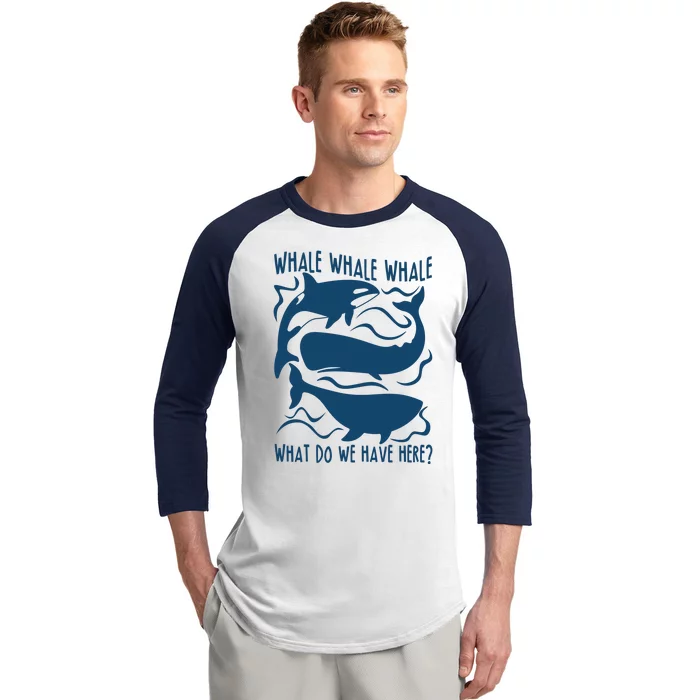 Funny Whale What Do We Have Here Baseball Sleeve Shirt