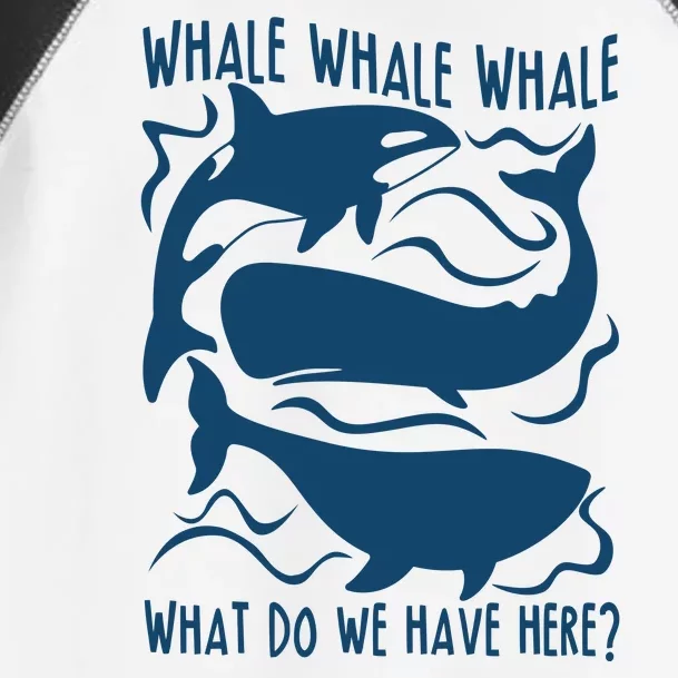 Funny Whale What Do We Have Here Toddler Fine Jersey T-Shirt