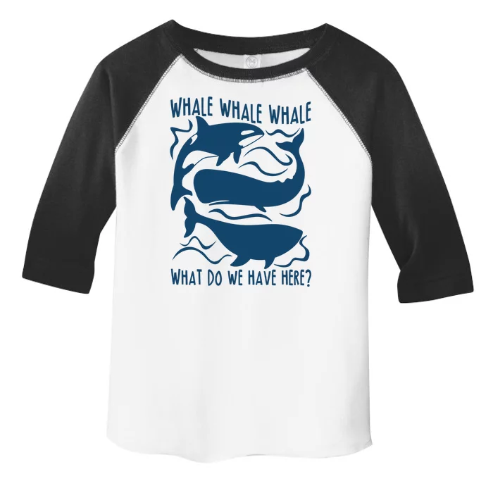 Funny Whale What Do We Have Here Toddler Fine Jersey T-Shirt