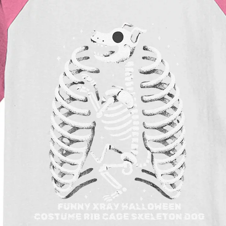 Funny Xray Halloween Costume Rib Cage Skeleton Dog Kids Colorblock Raglan Jersey