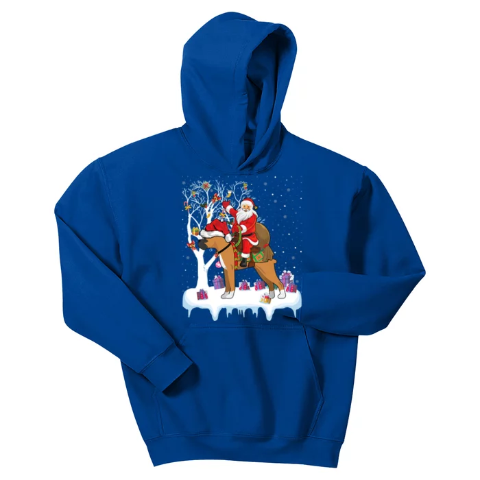 Funny Xmas Lighting Tree Santa Riding Boxer Dog Christmas Gift Kids Hoodie