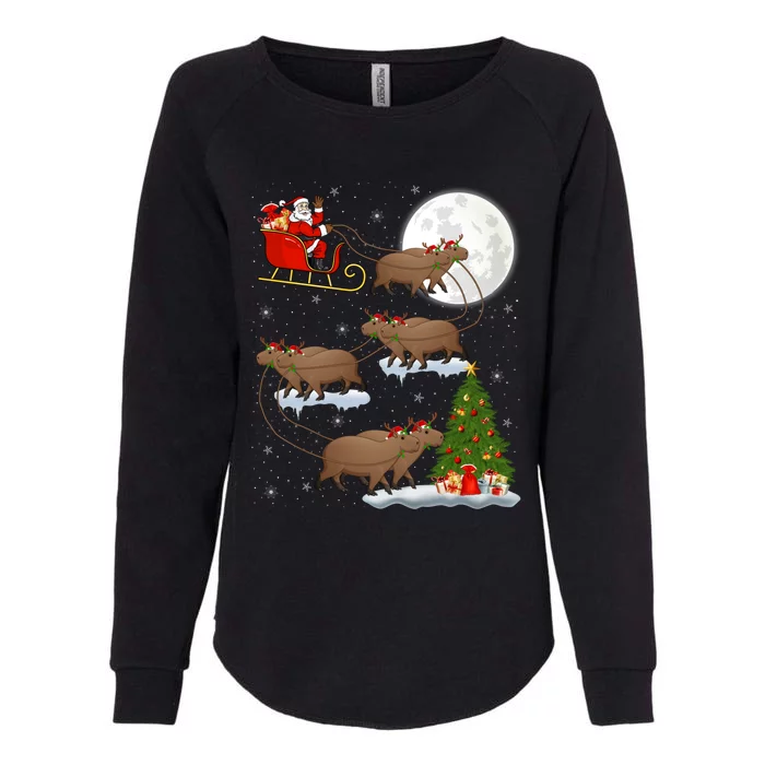 Funny Xmas Lighting Tree Santa Riding Capybara Christmas Gift Womens California Wash Sweatshirt