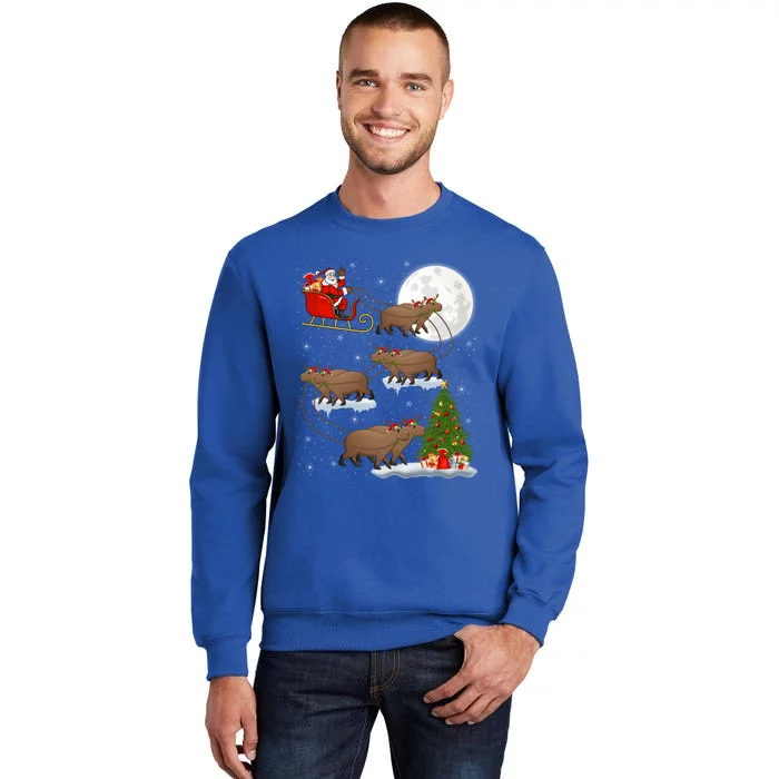 Funny Xmas Lighting Tree Santa Riding Capybara Christmas Gift Tall Sweatshirt