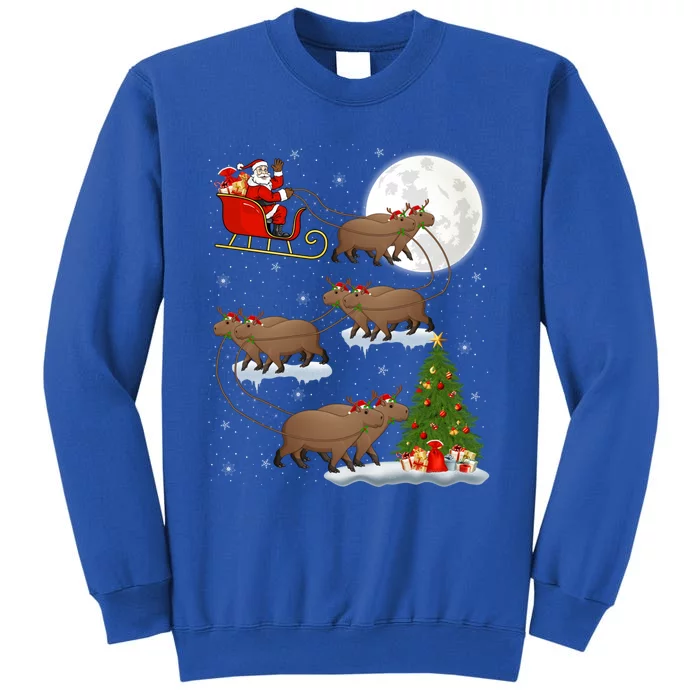 Funny Xmas Lighting Tree Santa Riding Capybara Christmas Gift Tall Sweatshirt