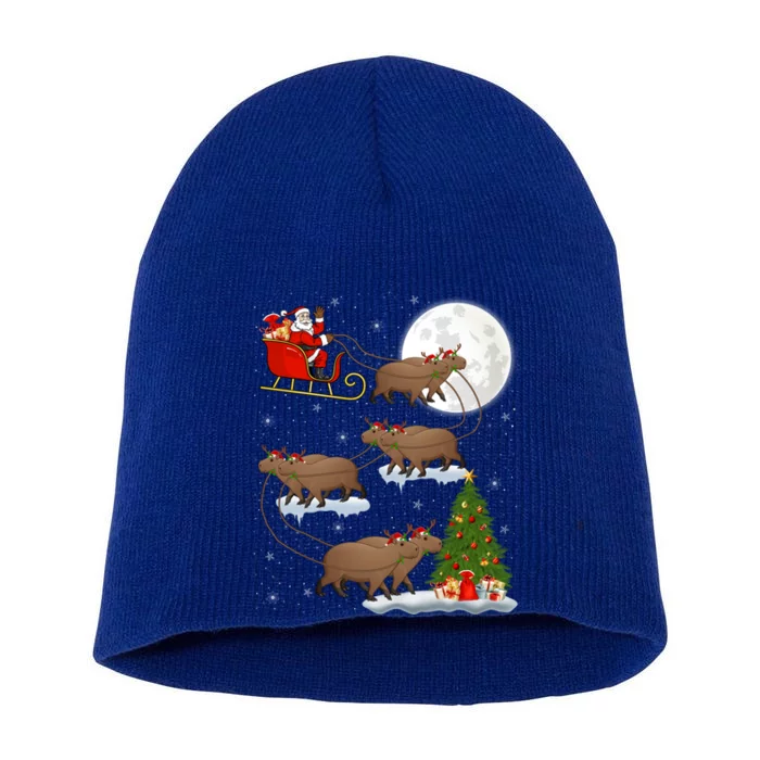 Funny Xmas Lighting Tree Santa Riding Capybara Christmas Gift Short Acrylic Beanie