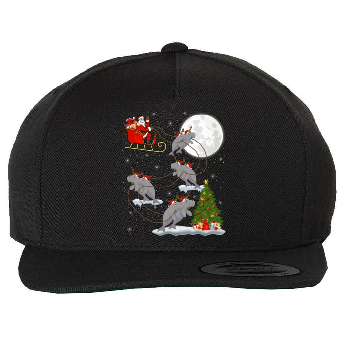 Funny Xmas Lighting Tree Santa Riding Atee Christmas Meaningful Gift Wool Snapback Cap