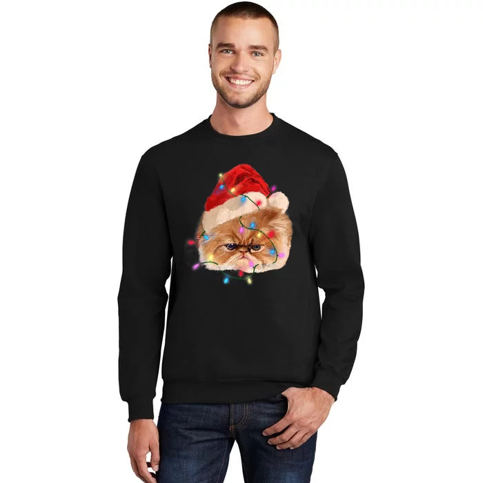 Funny Xmas Persian Cat Christmas Lights Adorable Face Fluffy TShirt Sweatshirt