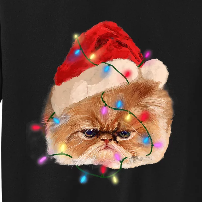 Funny Xmas Persian Cat Christmas Lights Adorable Face Fluffy TShirt Sweatshirt