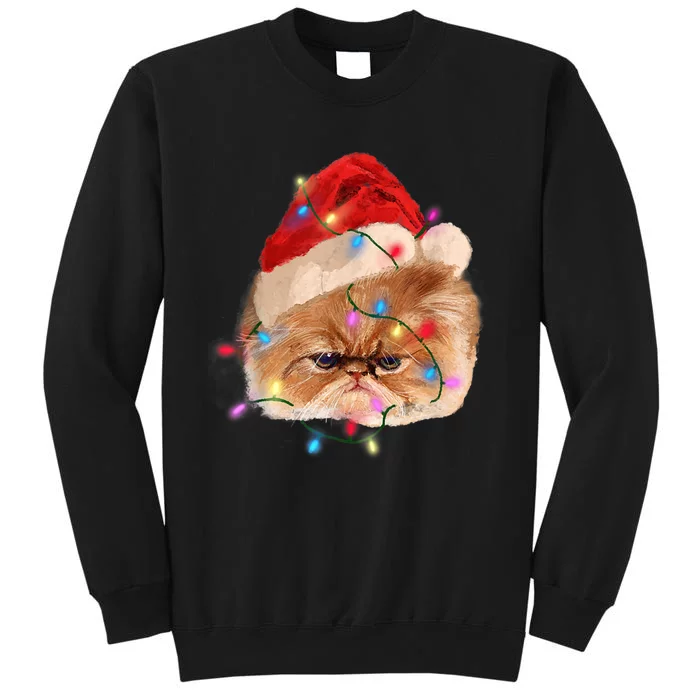 Funny Xmas Persian Cat Christmas Lights Adorable Face Fluffy TShirt Tall Sweatshirt