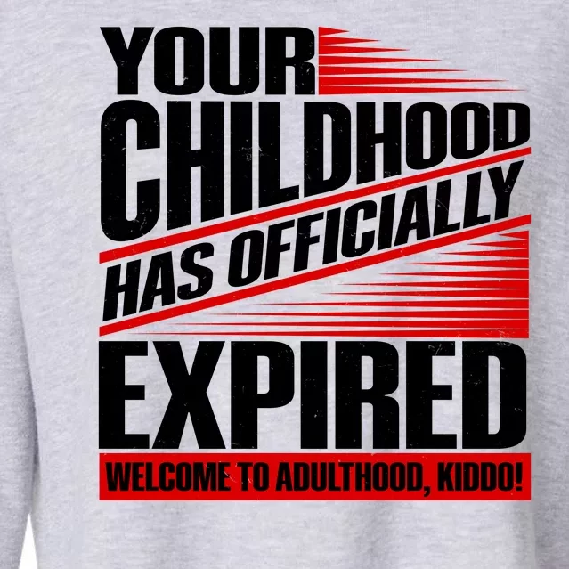 Funny Your Childhood Has Officially Expired Happy Birthday Cropped Pullover Crew