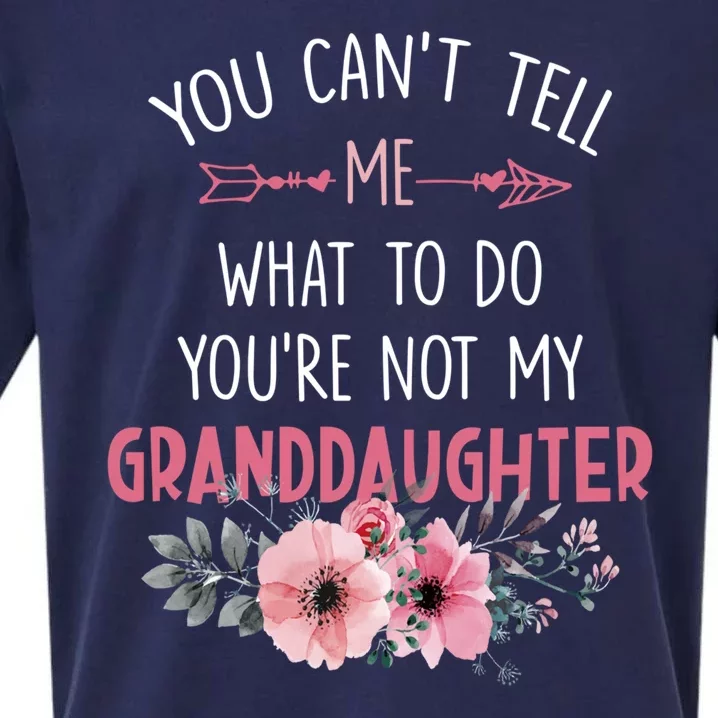 Funny You Cant Tell Me What To Do Youre Not My Granddaughter Sueded Cloud Jersey T-Shirt