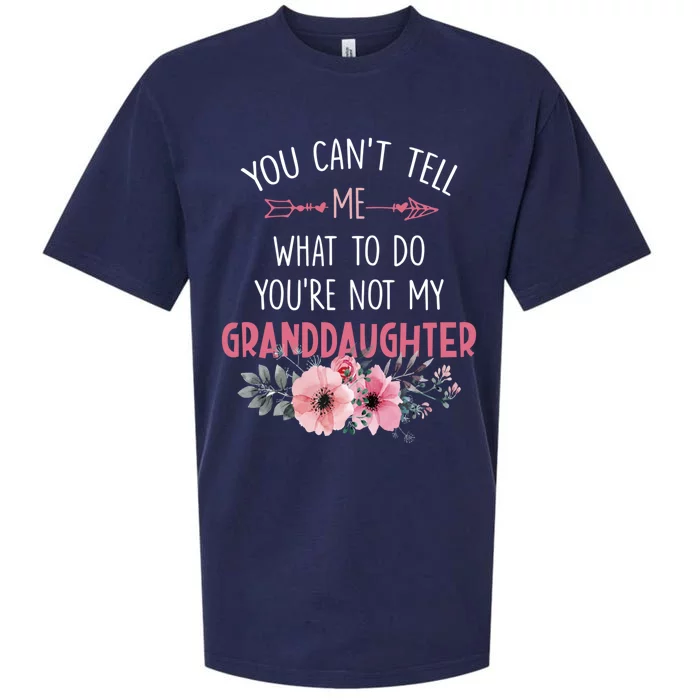 Funny You Cant Tell Me What To Do Youre Not My Granddaughter Sueded Cloud Jersey T-Shirt