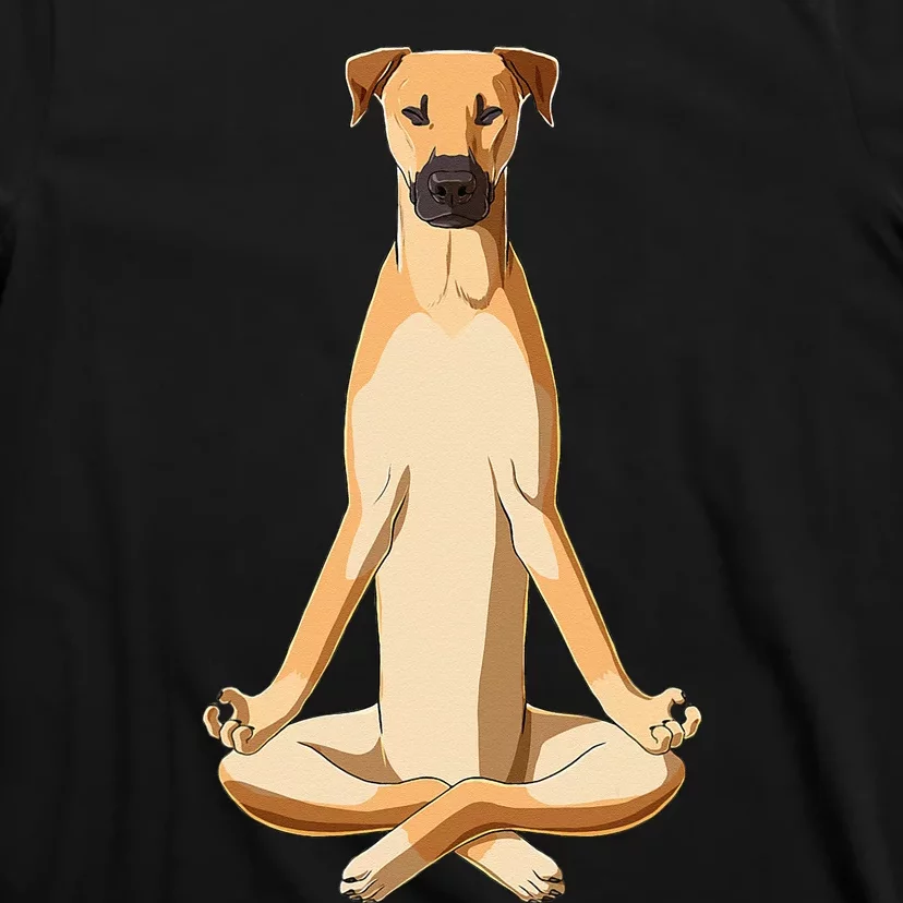 Funny Yoga Dog Black Mouth Cur T-Shirt