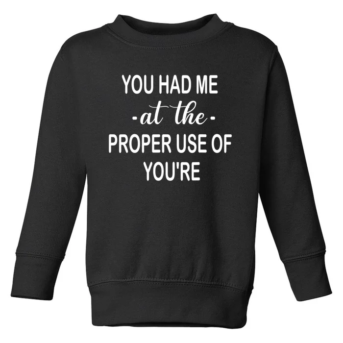 Funny You Had Me At The Proper Use Of You're Toddler Sweatshirt