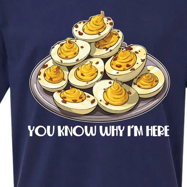 Funny You Know Why Im Here Deviled Eggs Thanksgiving Chirstmas Dinner Sueded Cloud Jersey T-Shirt