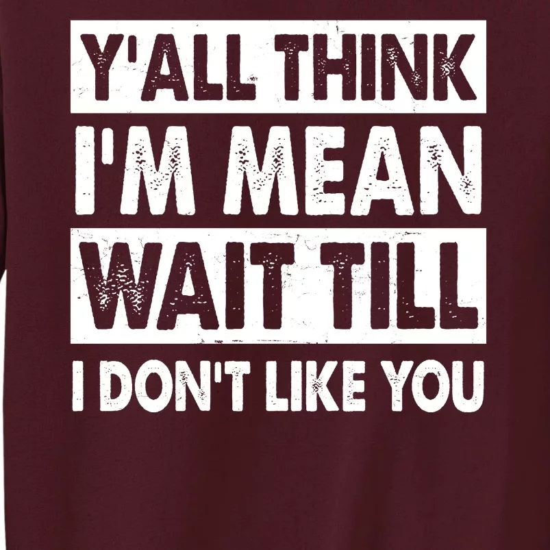 Funny Y'all Think I'm Mean Wait Till I Don't Like You Tall Sweatshirt