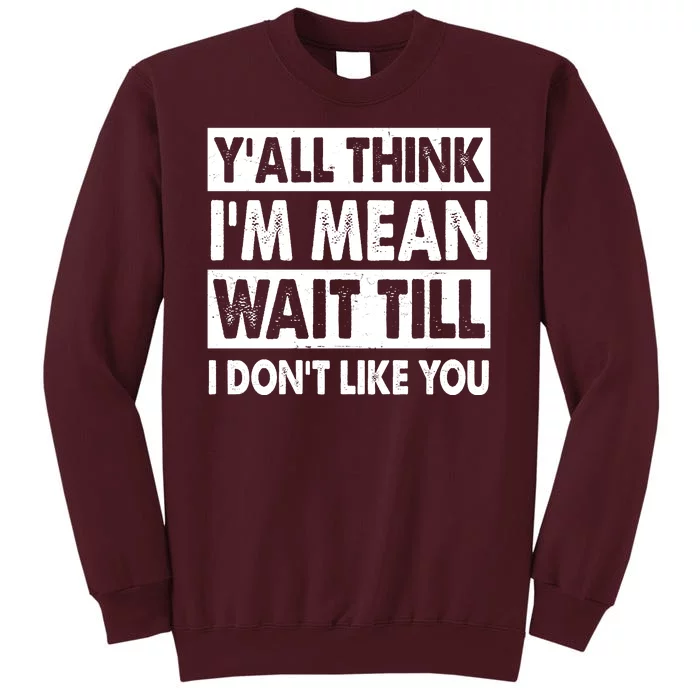 Funny Y'all Think I'm Mean Wait Till I Don't Like You Tall Sweatshirt