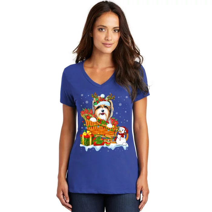 Funny Yorkshire Terrier Dog Cute Santa Sleigh Christmas Gift Women's V-Neck T-Shirt