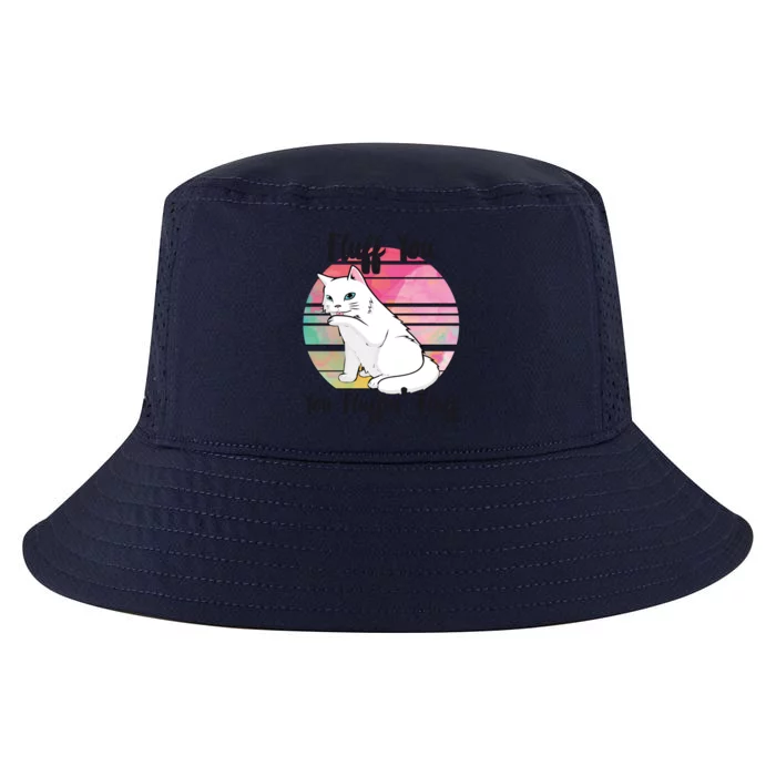 Fluff You You Fluffin Fluff Cute Cats Gift Cool Comfort Performance Bucket Hat