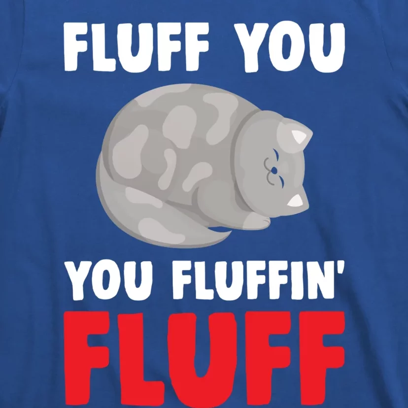 Fluff You You Fluffin' Fluff Funny Cat Kitten Lovers Pet Cat Gift T-Shirt