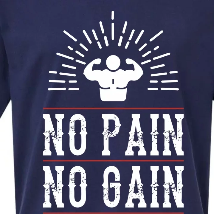 Graphic 365 No Pain No Gain Gym Workout Fitness Funny Humor Cute Gift Sueded Cloud Jersey T-Shirt