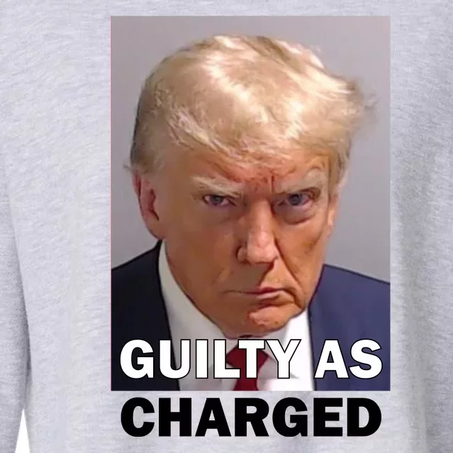 Guilty As Charge Trump Mugshot Cropped Pullover Crew