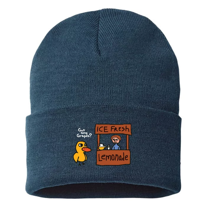 Got Any Grapes Duck Song Lemonade Sustainable Knit Beanie