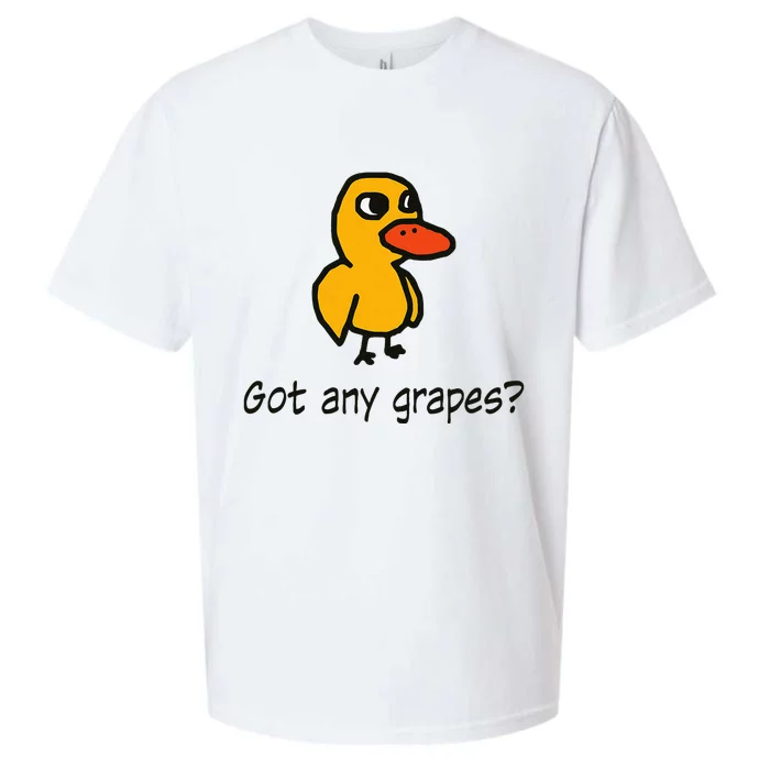 Got Any Grapes Apparel Sueded Cloud Jersey T-Shirt