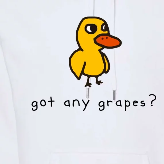 Got Any Grapes? Funny Premium Hoodie