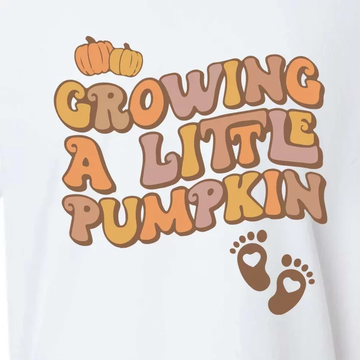 Growing A Little Pumpkin Thanksgiving Pregnancy Sueded Cloud Jersey T-Shirt